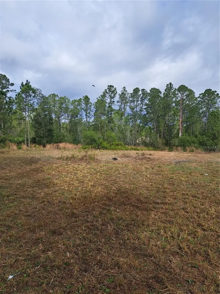Greengrove Boulevard Clermont FL 34714