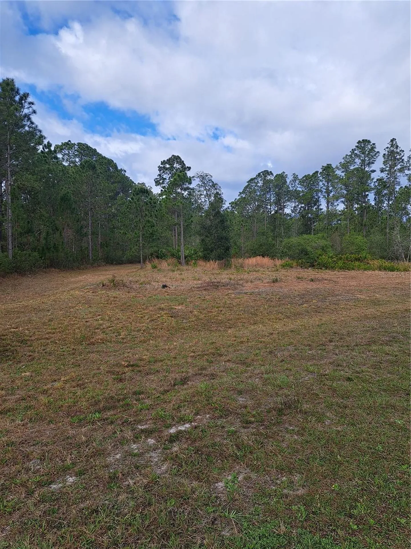Greengrove Boulevard Clermont FL 34714