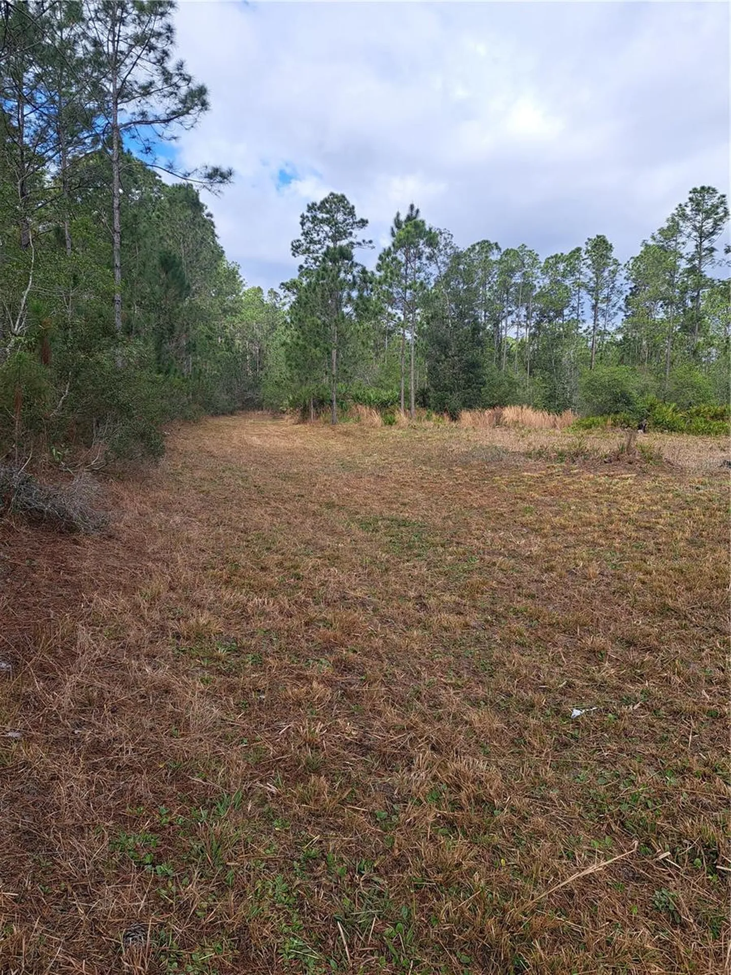 Greengrove Boulevard Clermont FL 34714