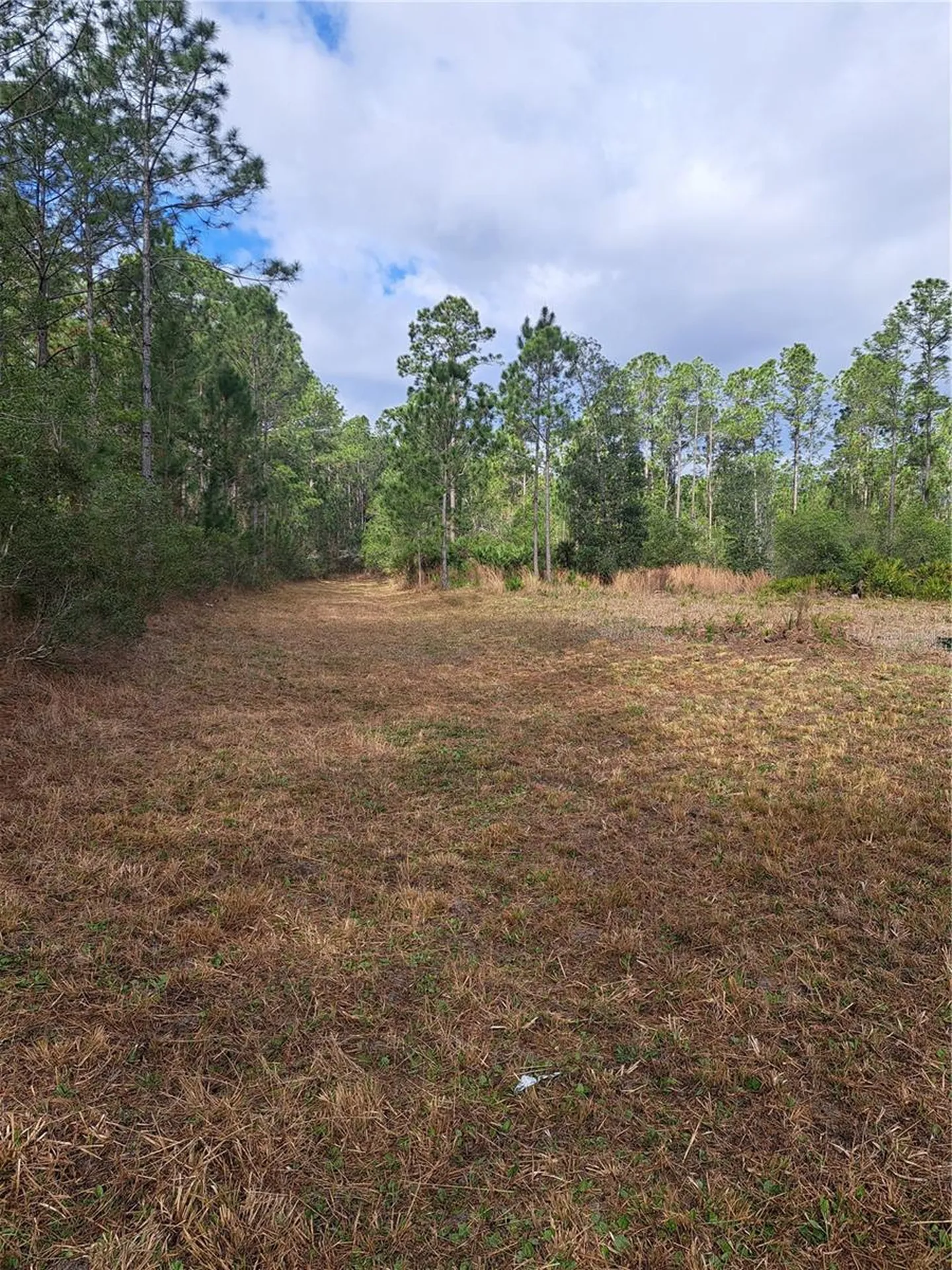 Greengrove Boulevard Clermont FL 34714