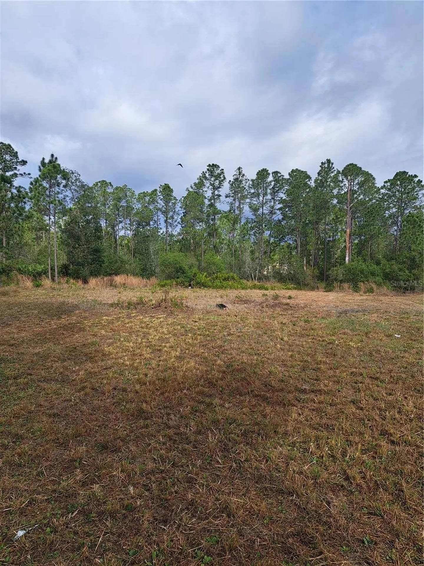 Greengrove Boulevard Clermont FL 34714