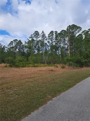 Greengrove Boulevard Clermont FL 34714