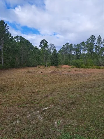 Greengrove Boulevard Clermont FL 34714