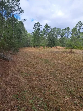 Greengrove Boulevard Clermont FL 34714