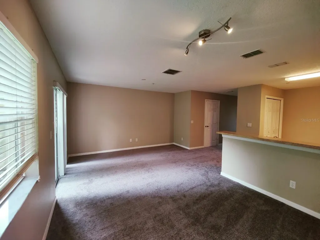 117 Glowing Peace Lane Orlando FL 32824