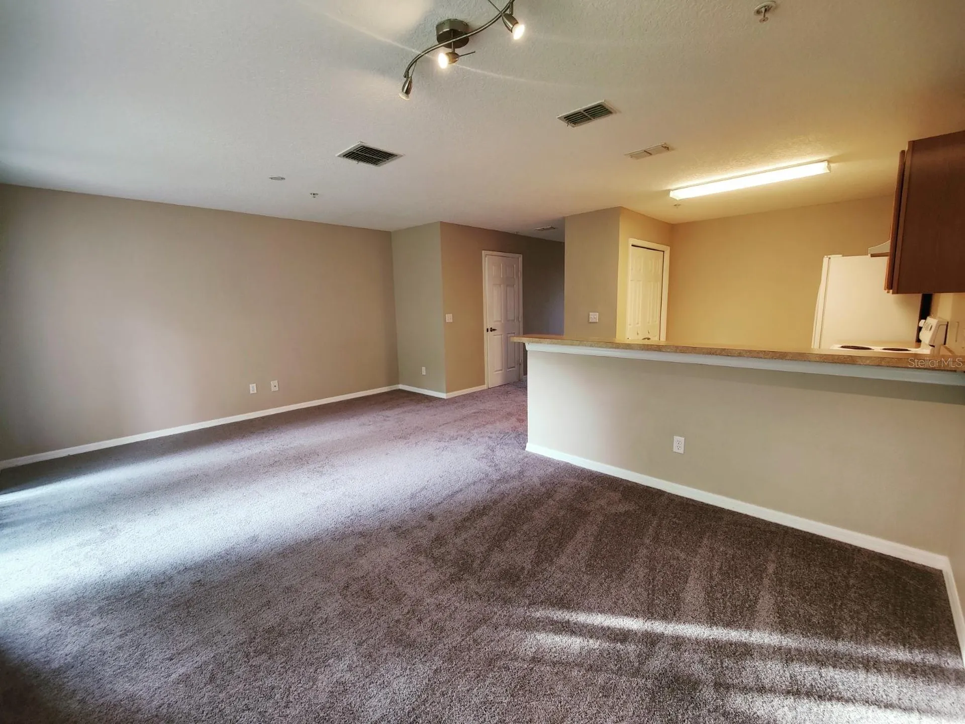 117 Glowing Peace Lane Orlando FL 32824