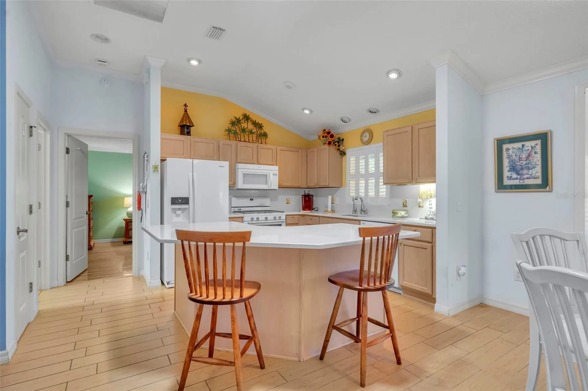 3001 Sandy Lane The Villages FL 32162