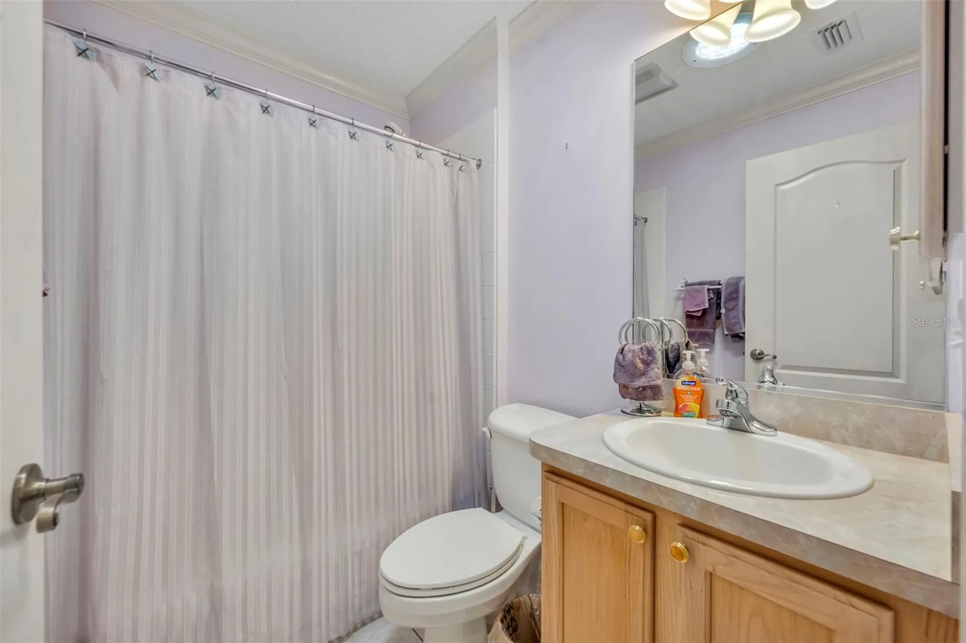 3001 Sandy Lane The Villages FL 32162