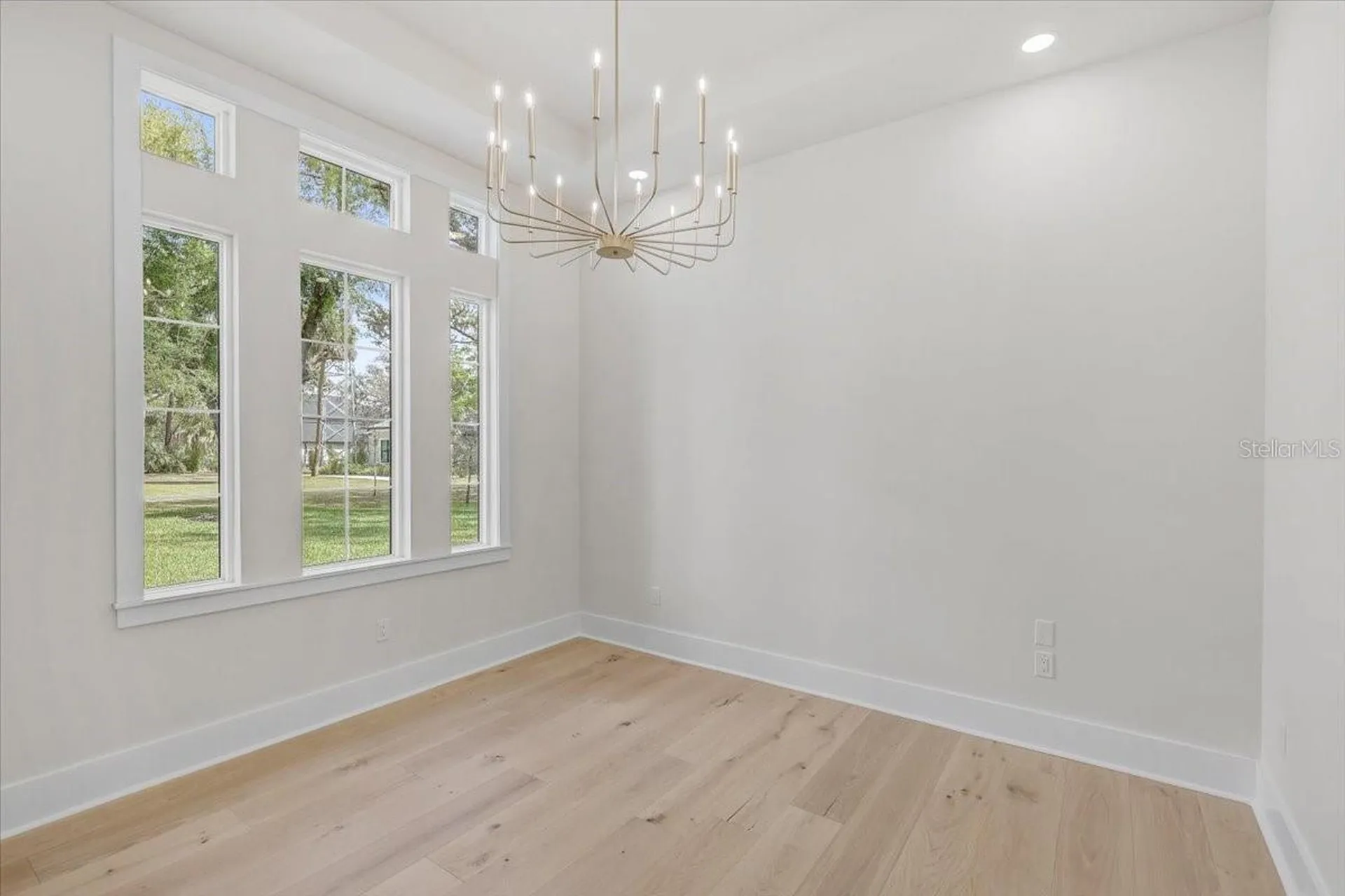 3317 Chase Jackson Branch Lutz FL 33559