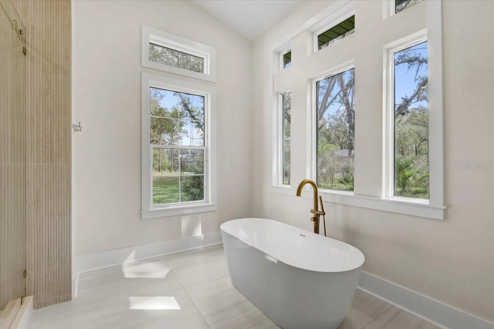 3317 Chase Jackson Branch Lutz FL 33559