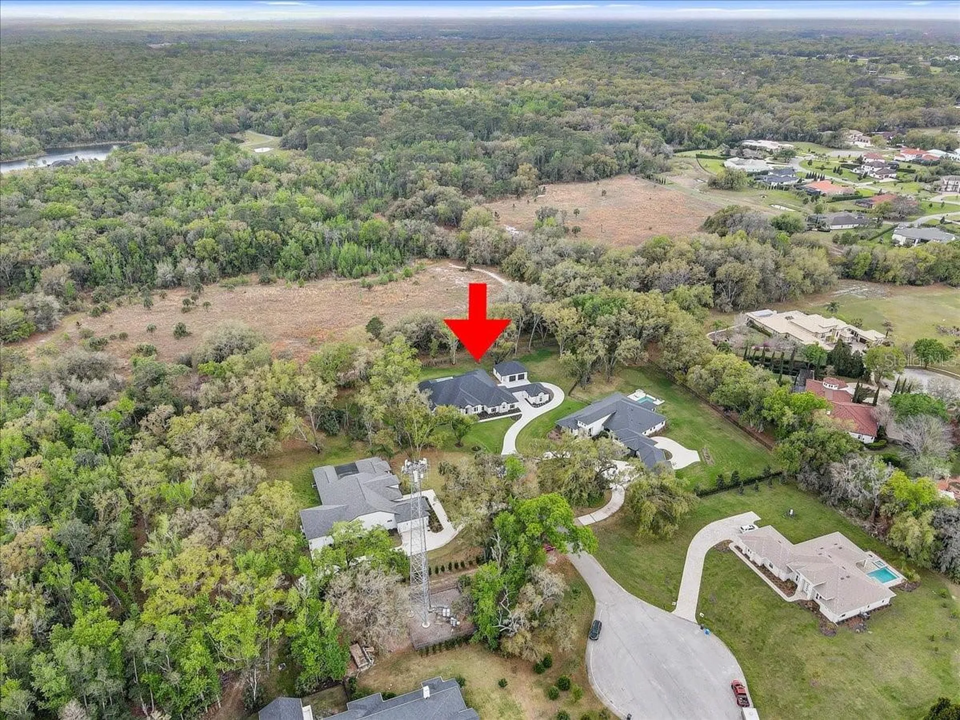 3317 Chase Jackson Branch Lutz FL 33559