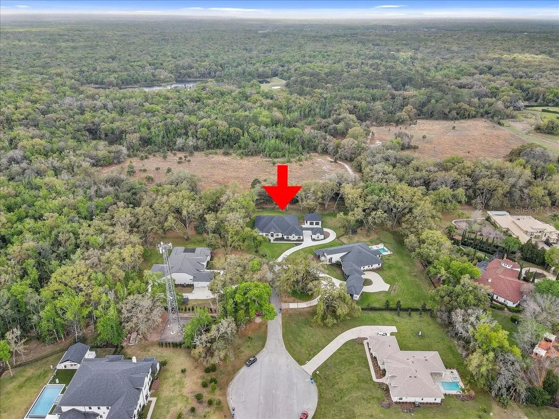 3317 Chase Jackson Branch Lutz FL 33559