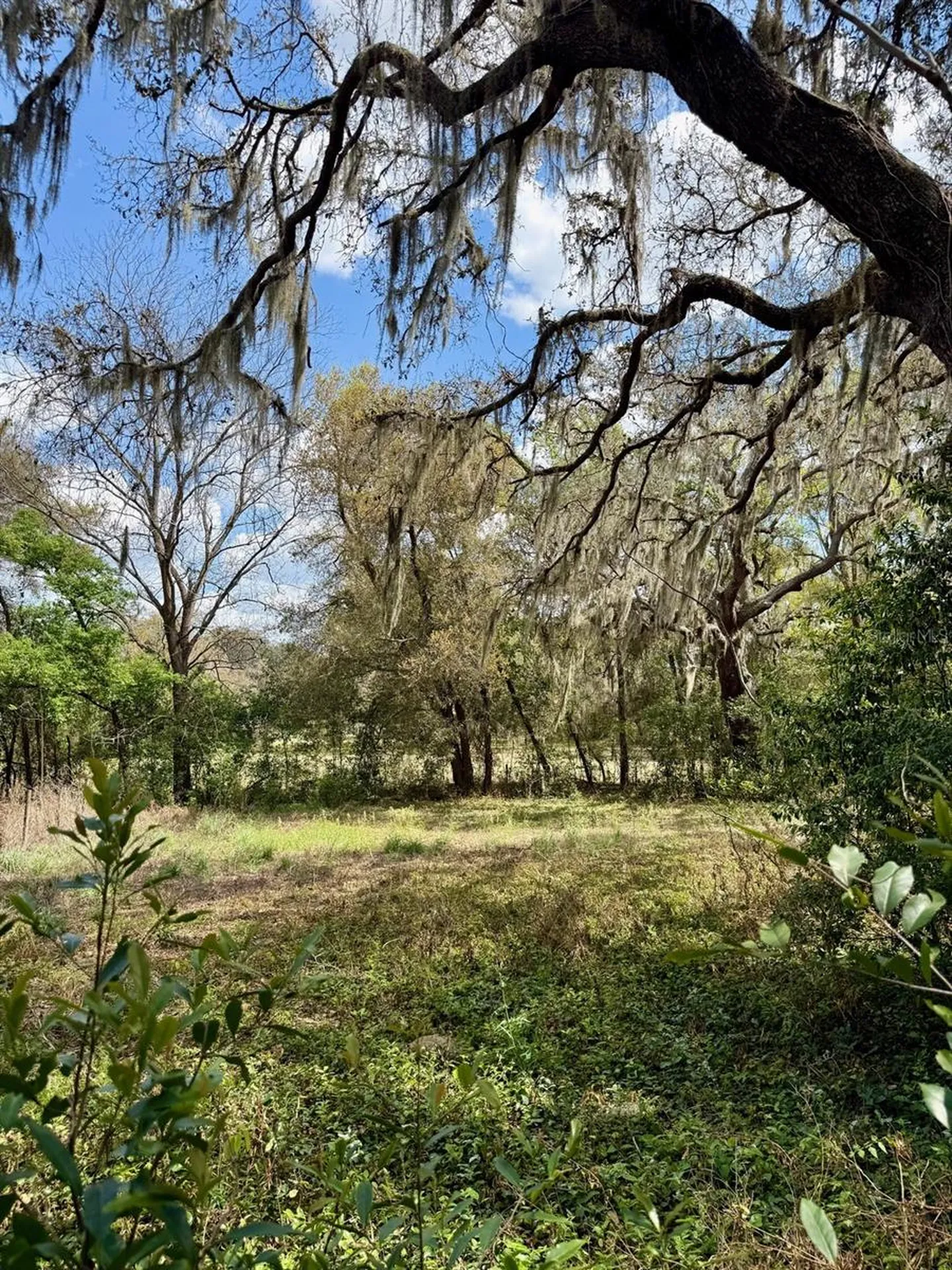 10010 Fort King Road Dade City FL 33525