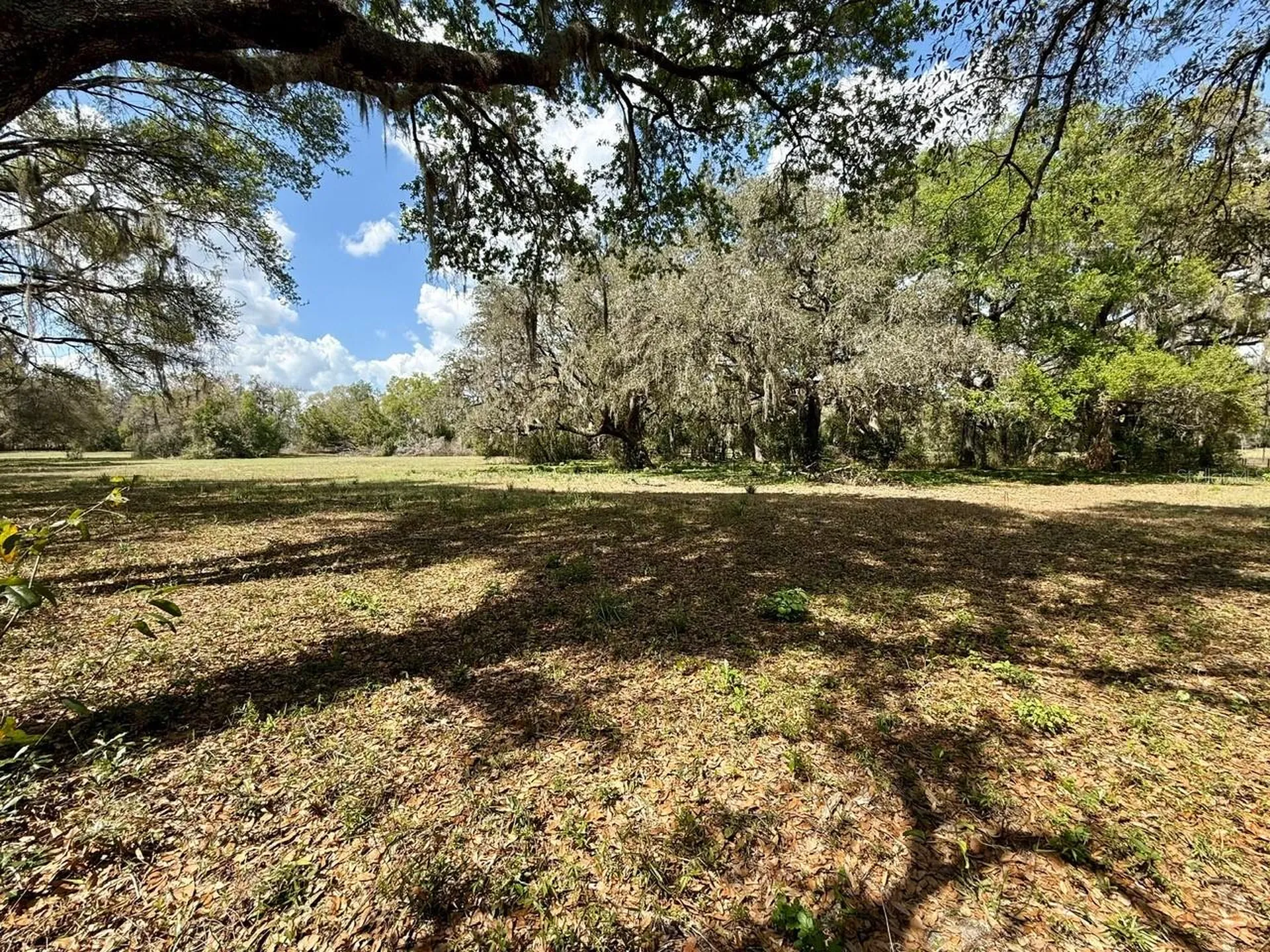 10010 Fort King Road Dade City FL 33525