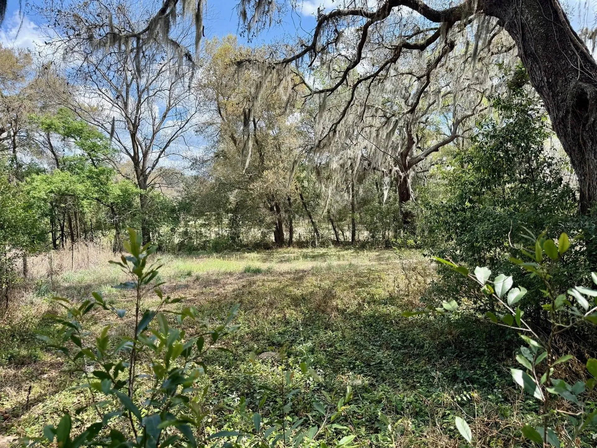 10010 Fort King Road Dade City FL 33525