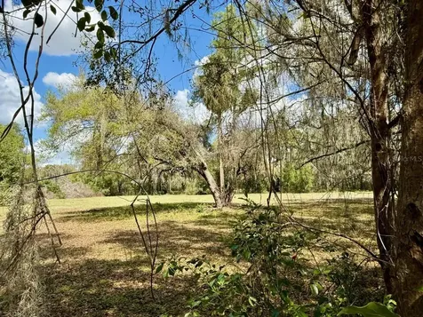 10010 Fort King Road Dade City FL 33525