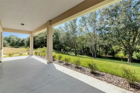 4049 Pinnacle Place Lady Lake FL 32159