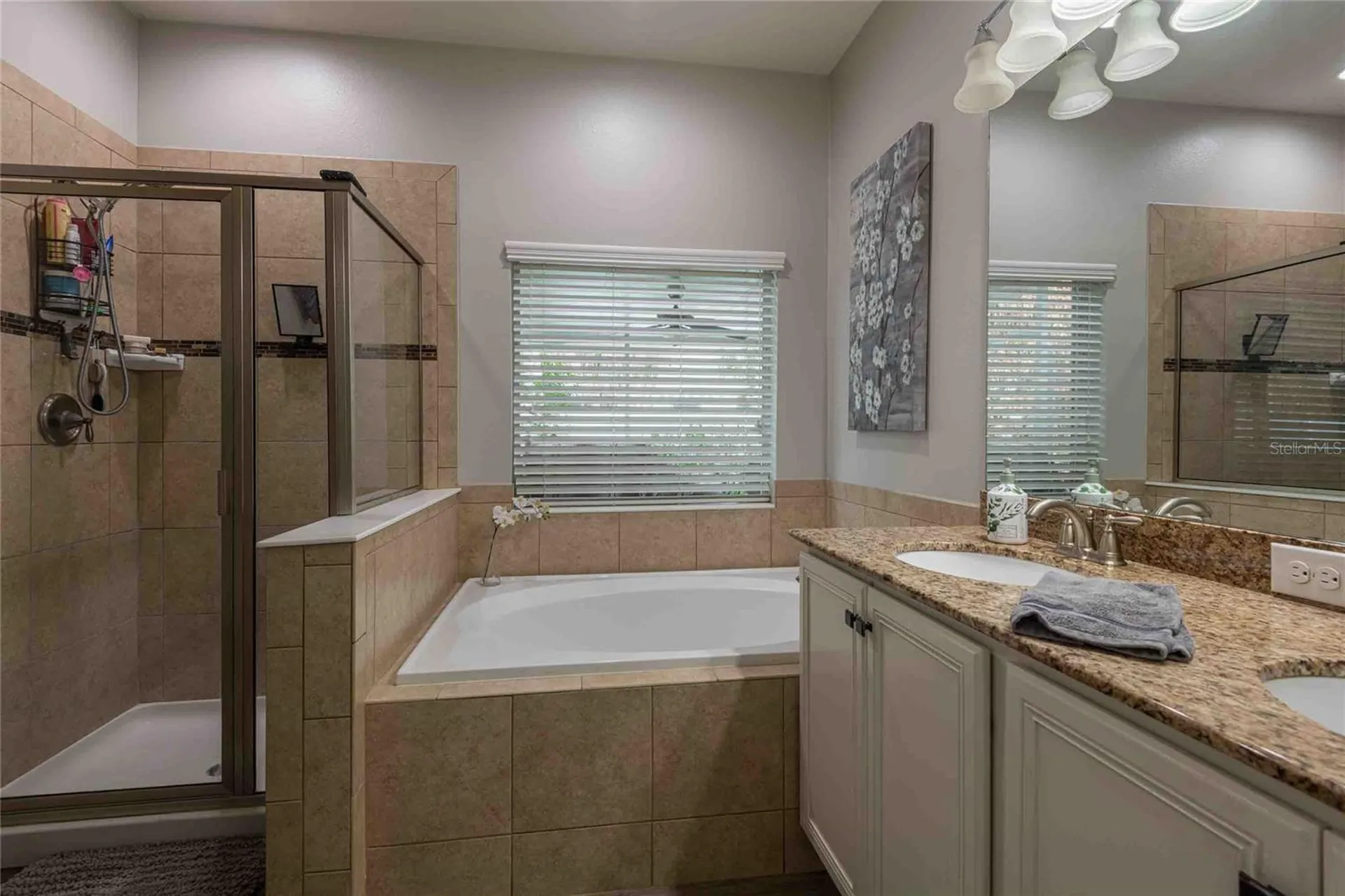2814 Maple Brook Loop Lutz FL 33558