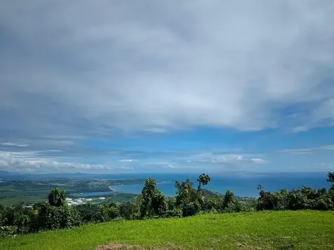 Barrio Camino Nuevo Sector La Maloja Arriba Yabucoa PR 00767