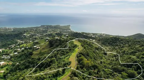 Barrio Camino Nuevo Sector La Maloja Arriba Yabucoa PR 00767