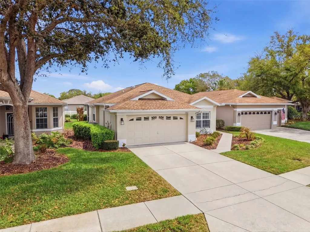 15021 Tamarind Loop Spring Hill FL 34609