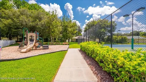 15021 Tamarind Loop Spring Hill FL 34609