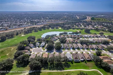 15021 Tamarind Loop Spring Hill FL 34609