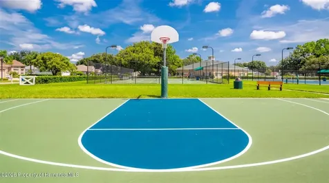 15021 Tamarind Loop Spring Hill FL 34609