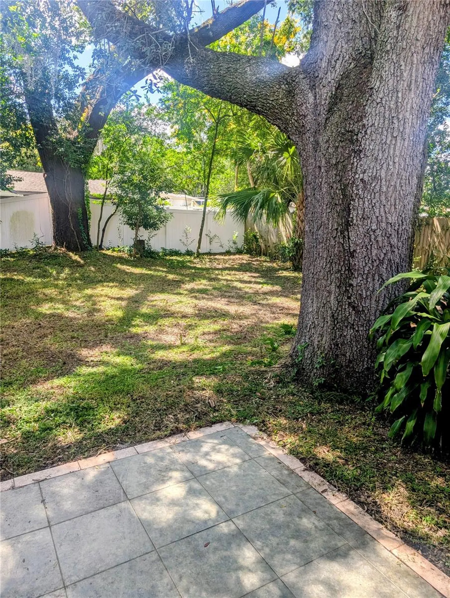 3006 E Anderson Street Orlando FL 32803
