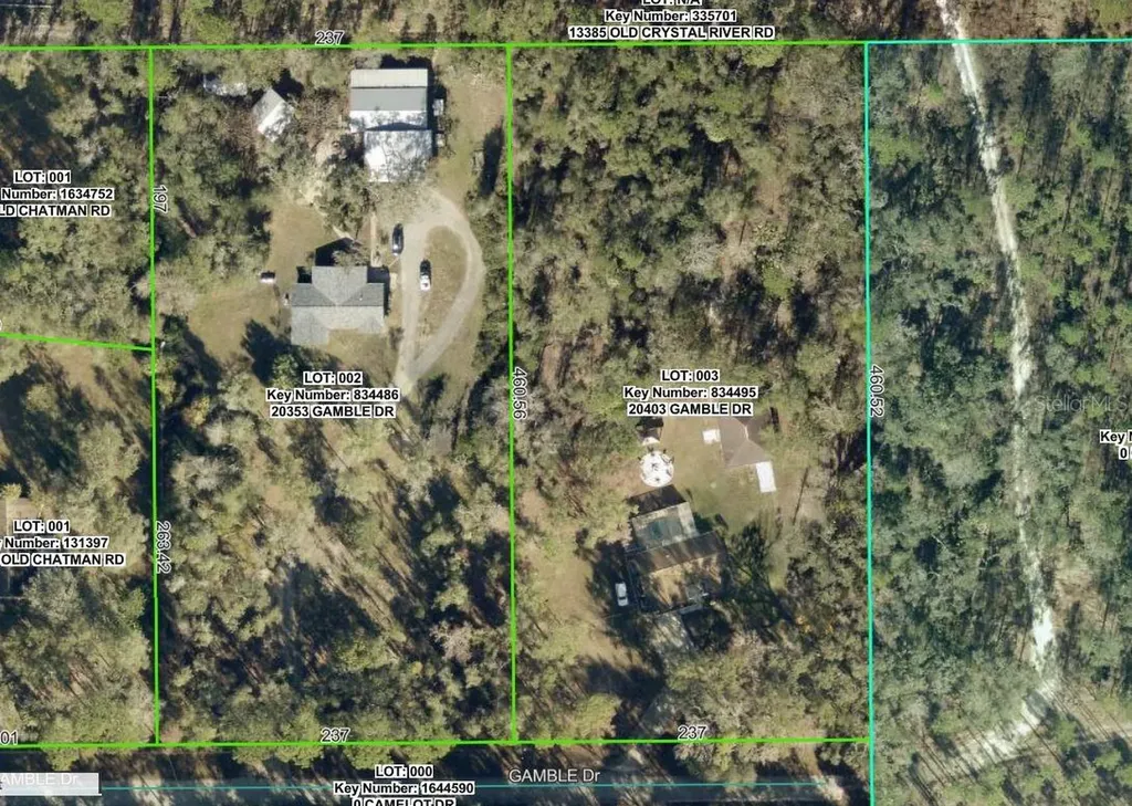 20403 Gamble Drive Brooksville FL 34601