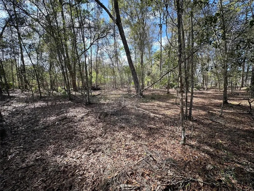 20403 Gamble Drive Brooksville FL 34601