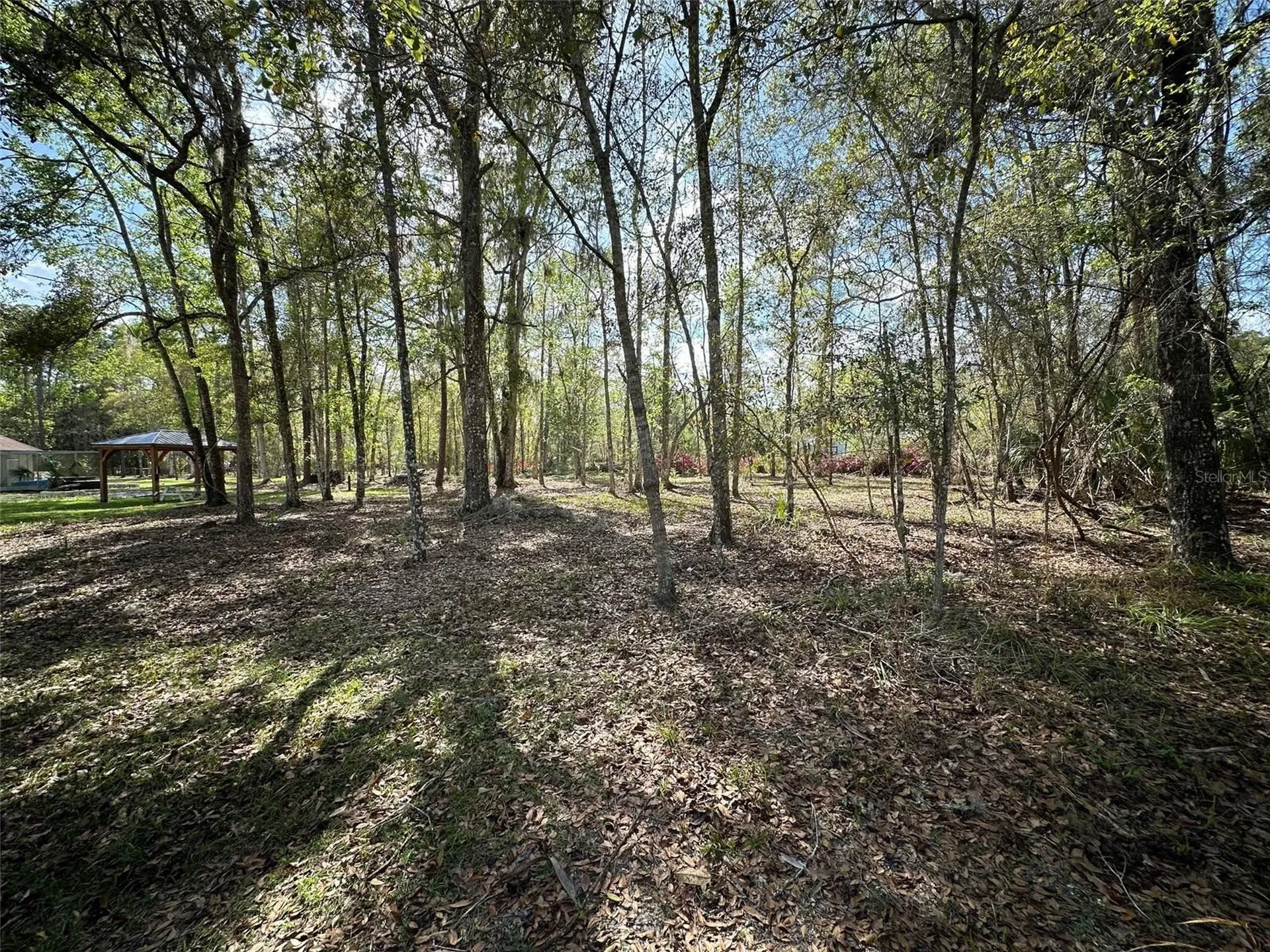 20403 Gamble Drive Brooksville FL 34601