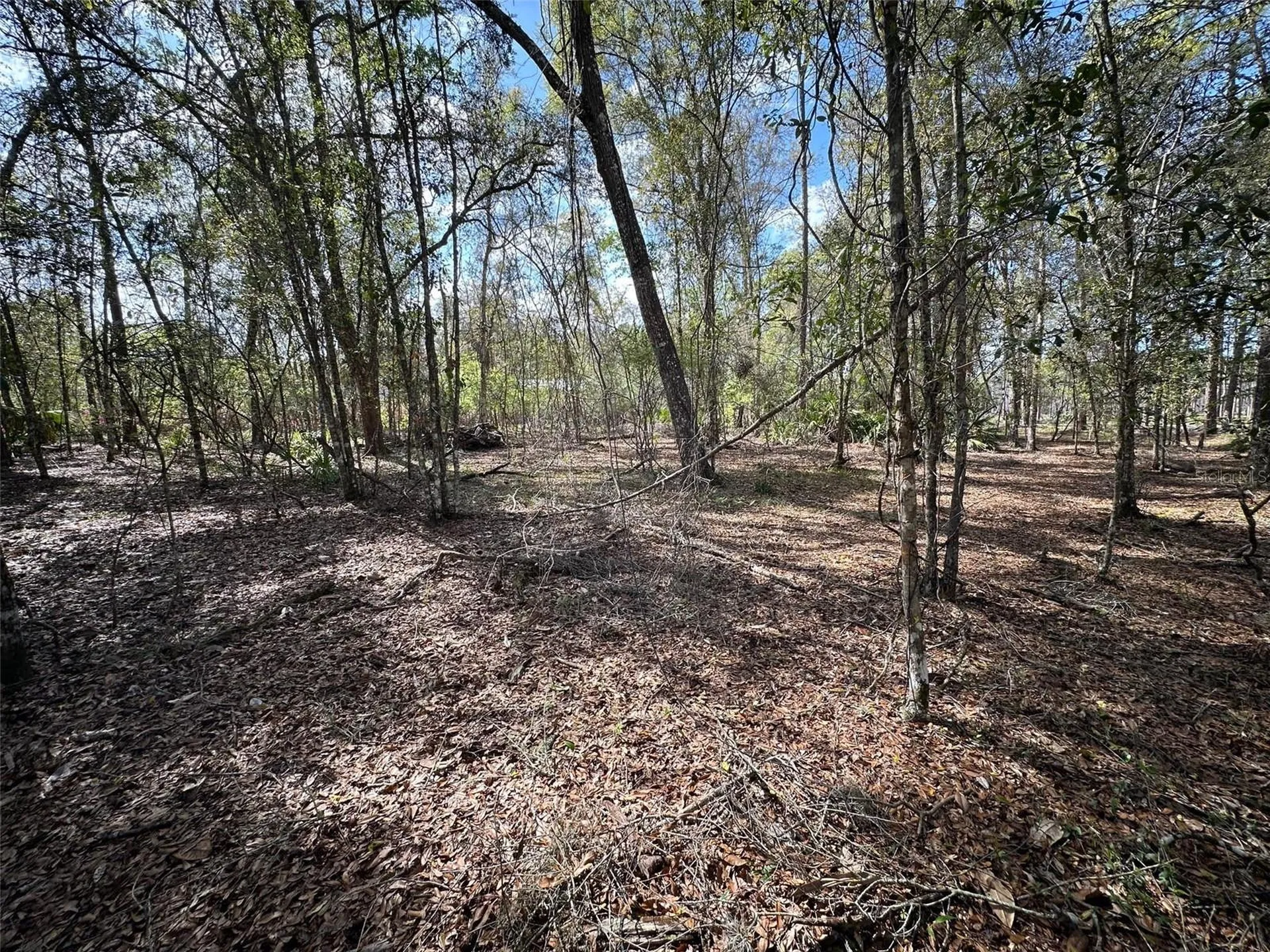 20403 Gamble Drive Brooksville FL 34601