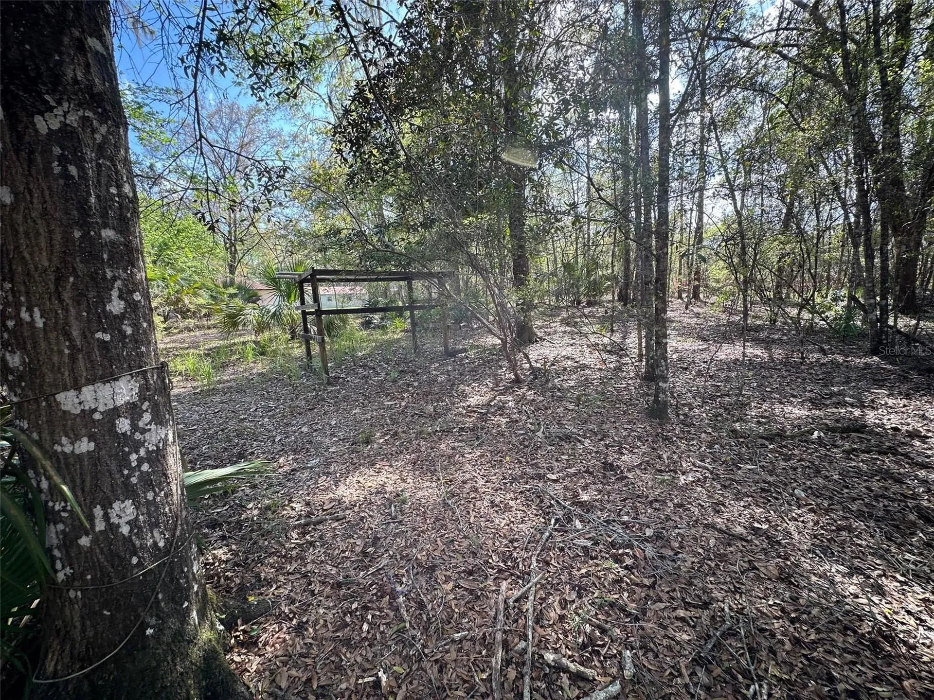 20403 Gamble Drive Brooksville FL 34601