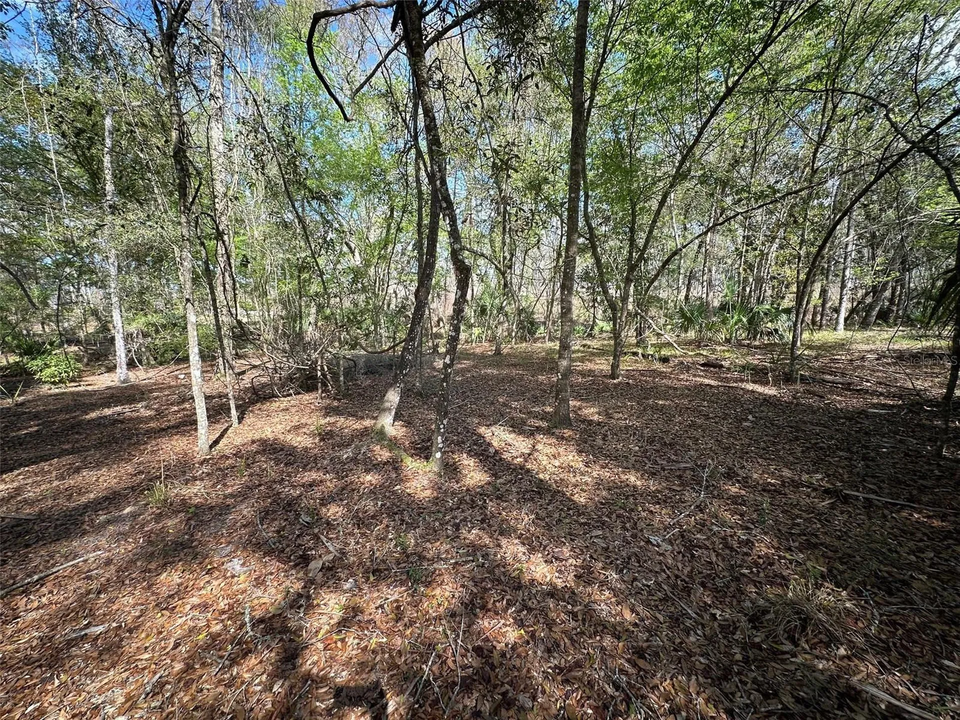 20403 Gamble Drive Brooksville FL 34601