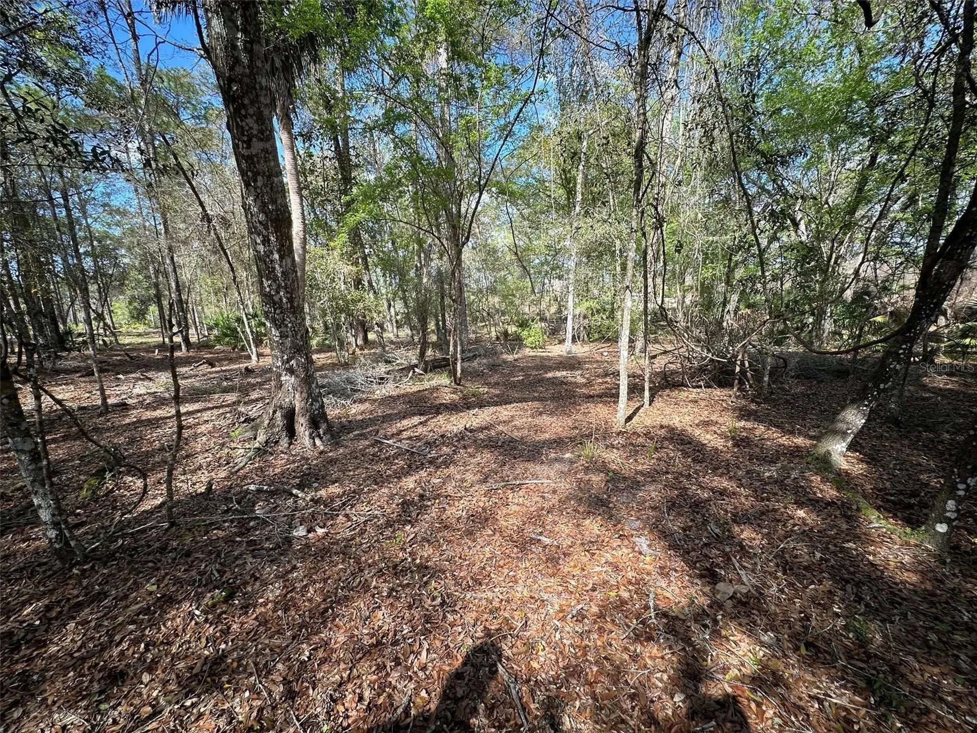 20403 Gamble Drive Brooksville FL 34601