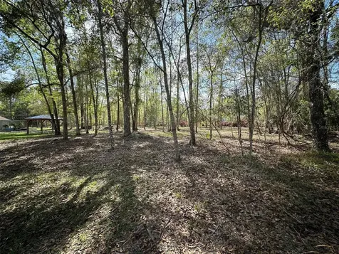 20403 Gamble Drive Brooksville FL 34601