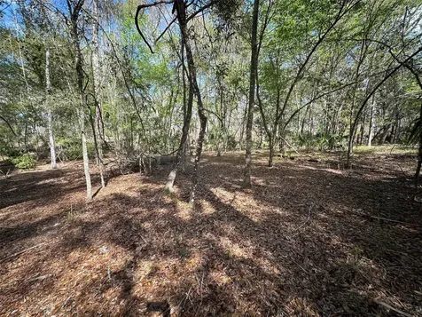 20403 Gamble Drive Brooksville FL 34601