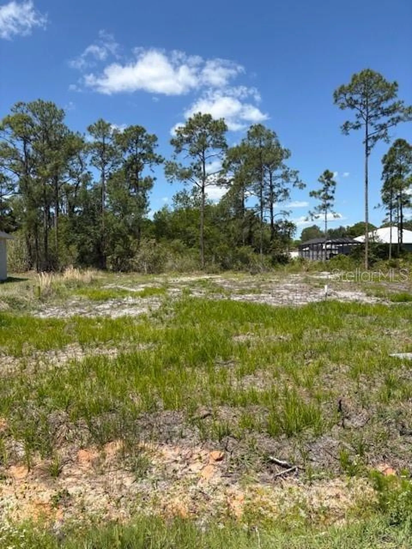 5605 Lakewood Road Sebring FL 33875