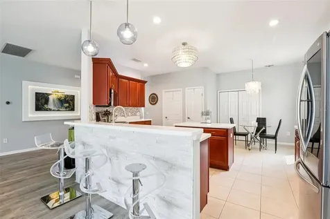 18028 Malakai Isle Drive Tampa FL 33647
