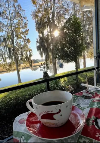 2936 Mission Lakes Drive Lakeland FL 33803