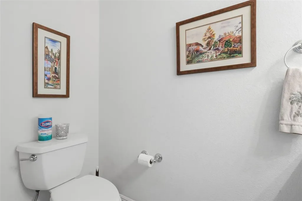 1607 Mount Croghan Trail The Villages FL 32162