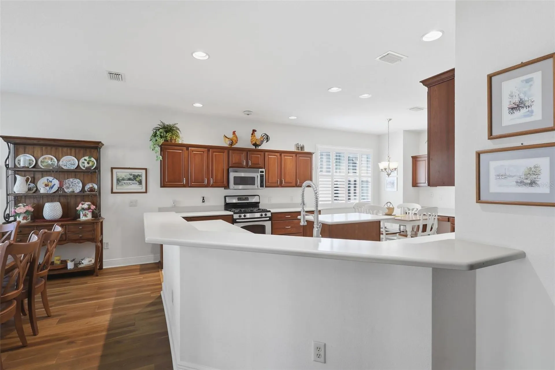 1607 Mount Croghan Trail The Villages FL 32162