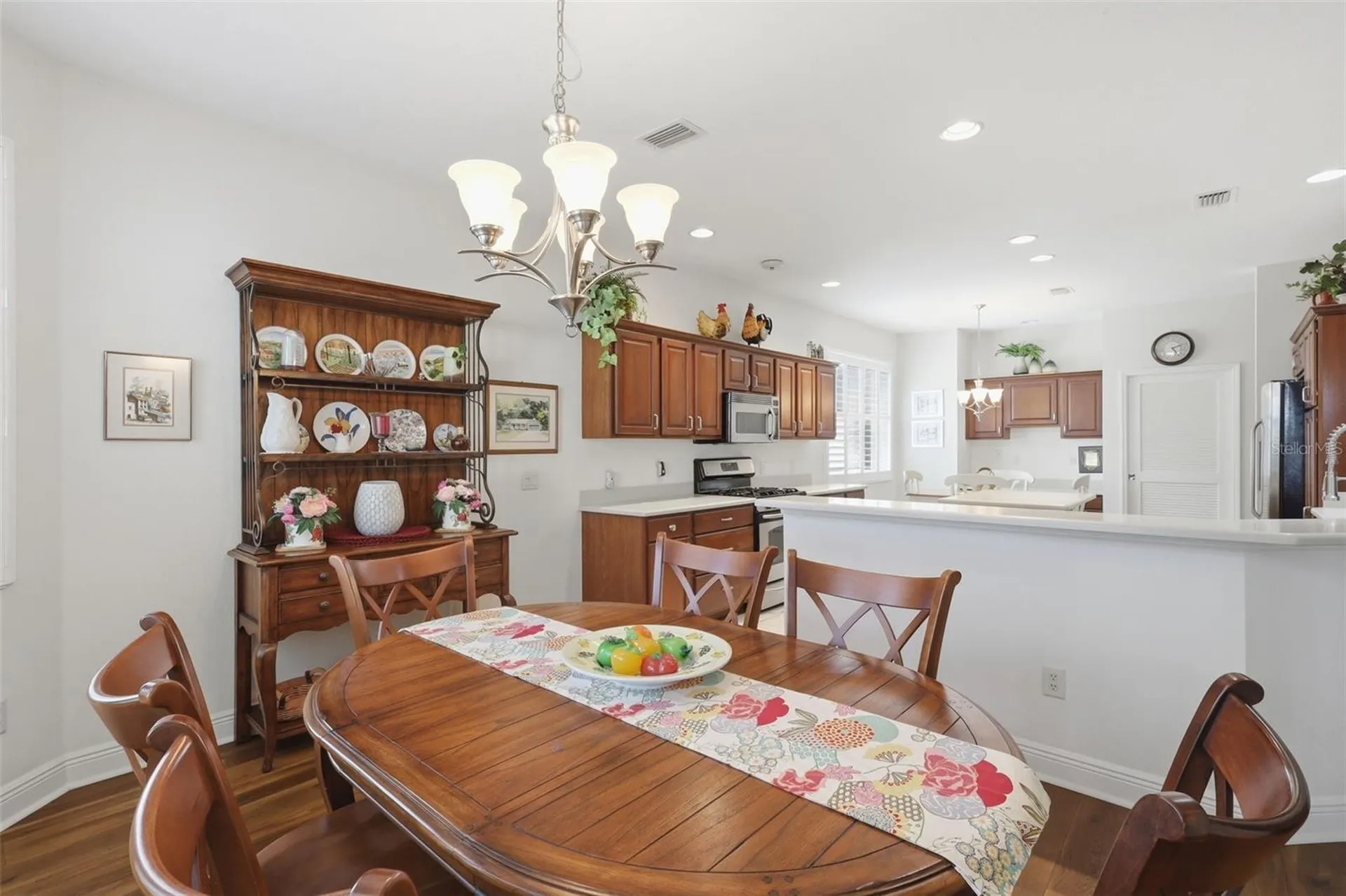 1607 Mount Croghan Trail The Villages FL 32162