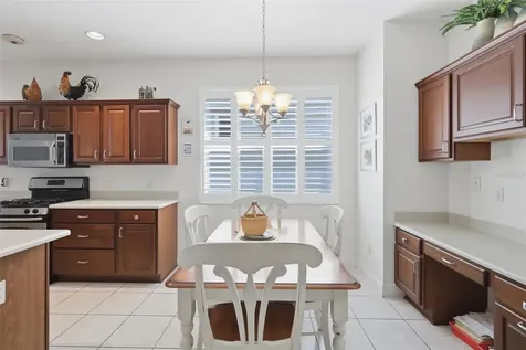 1607 Mount Croghan Trail The Villages FL 32162