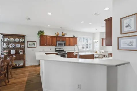 1607 Mount Croghan Trail The Villages FL 32162