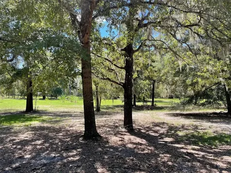 51 Avenue NE High Springs FL 32643