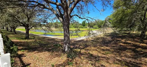 4716 Little Denise Court Valrico FL 33594