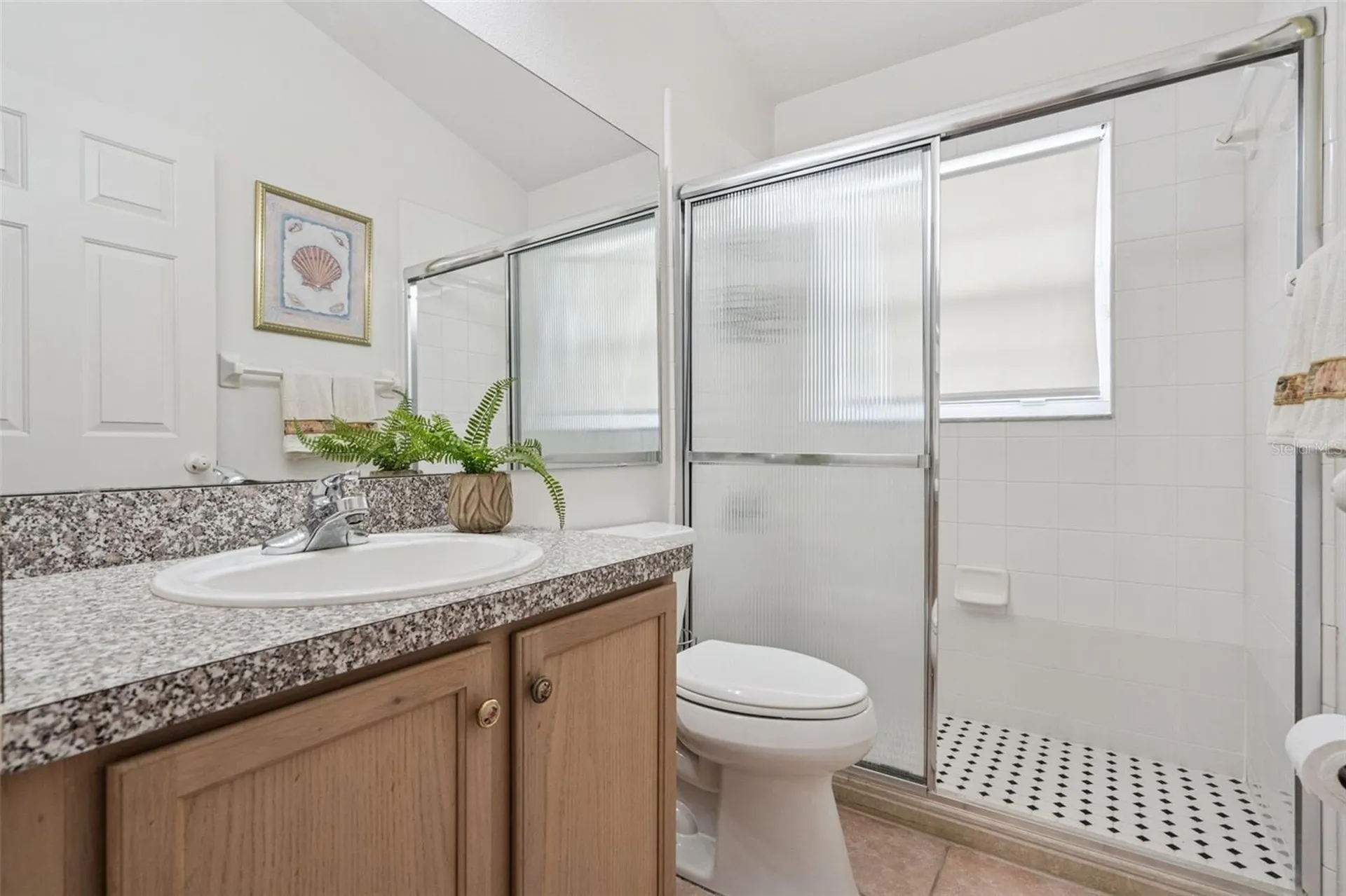 2631 Star Lake View Drive Kissimmee FL 34747