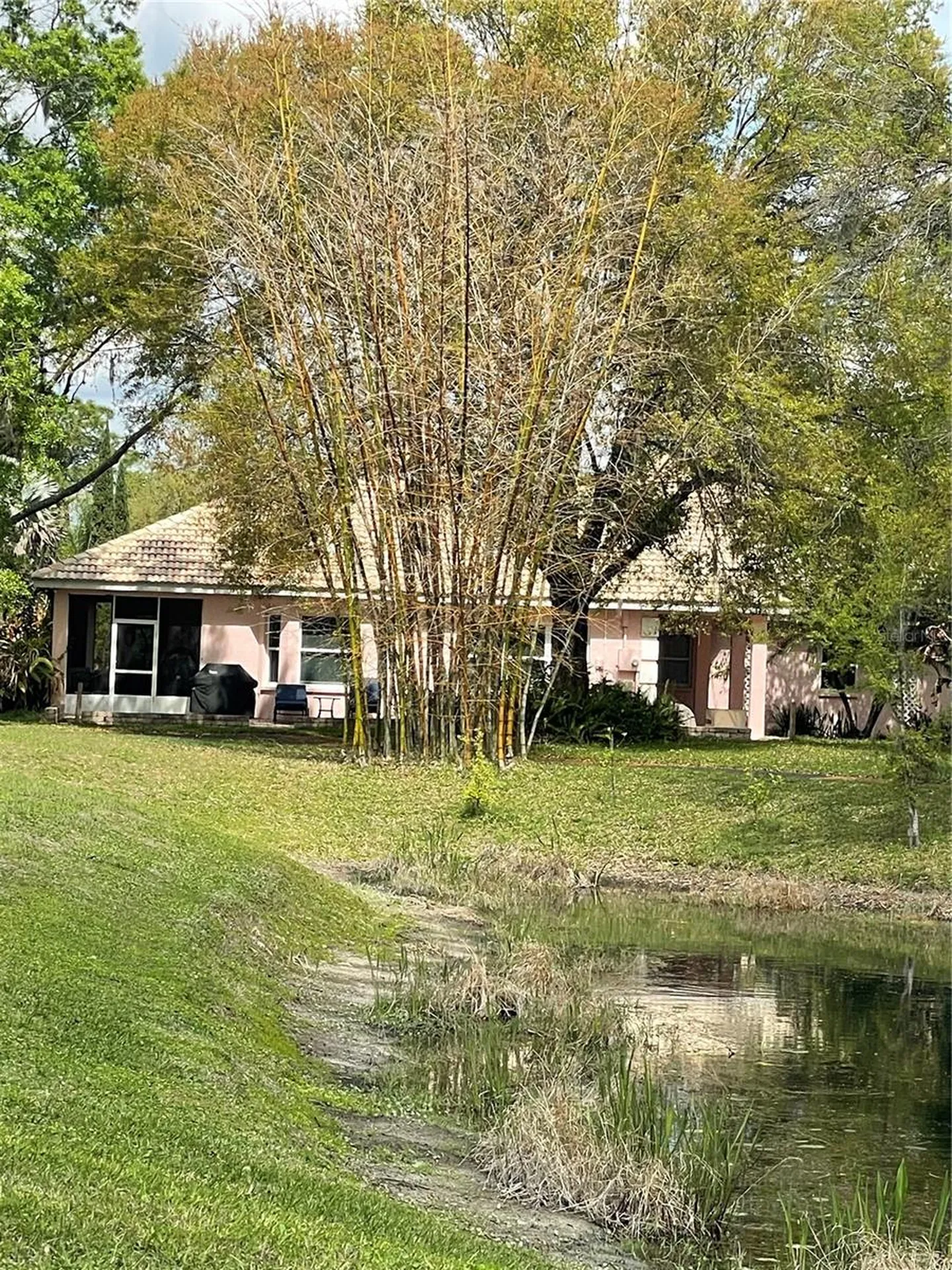 21007 Los Cabos Court Land O Lakes FL 34637